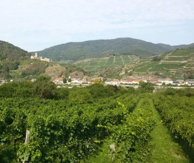 Wachau